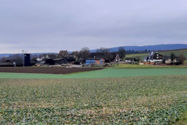 Von Herblingen nach Buchthalen