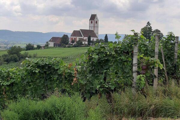 Bänkli-Wanderung von Trasadingen nach Hallau