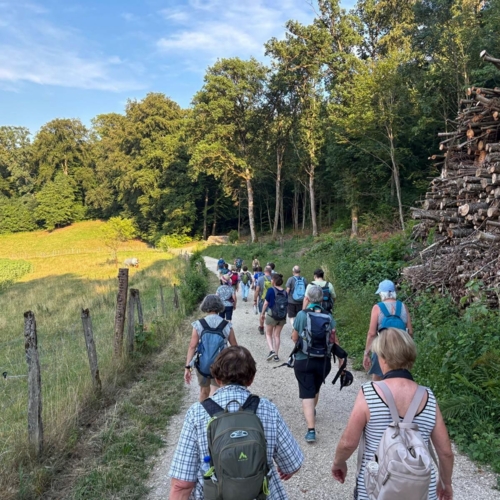 Wandernacht3