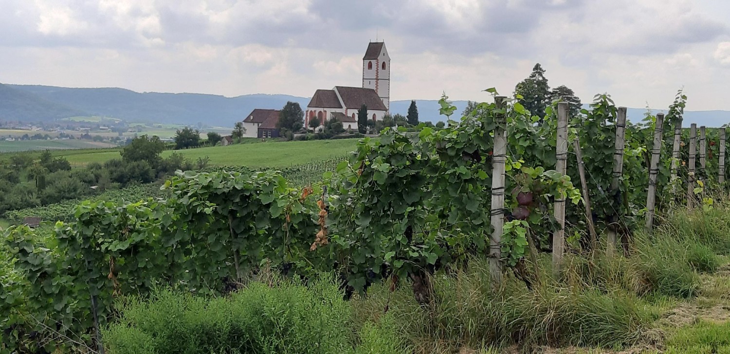 Bergkirche Hallau