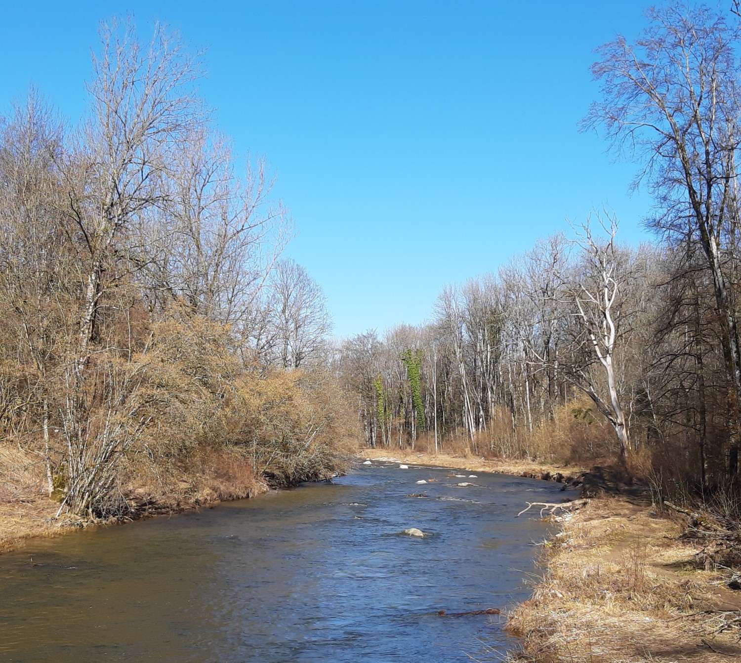 Wutach