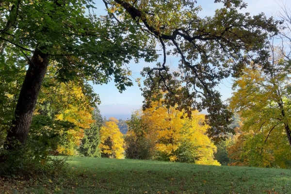 Bänkli-Wanderung von Hohbrugg - Hemmental