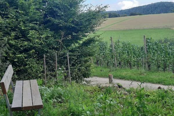 Bänkli-Wanderung von Löhningen nach Wilchingen