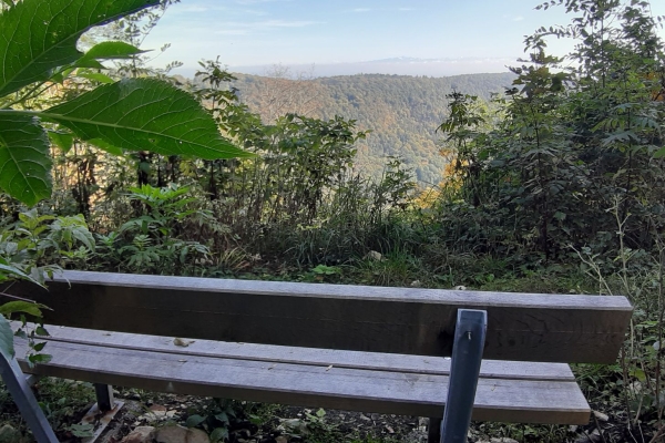 Bänkli-Wanderung von Hohbrugg - Hemmental