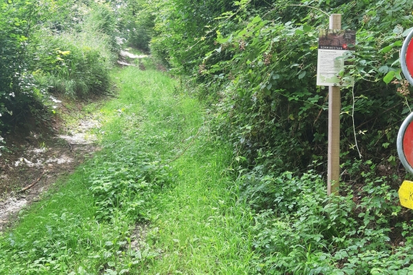 Bänkli-Wanderung von Löhningen nach Wilchingen
