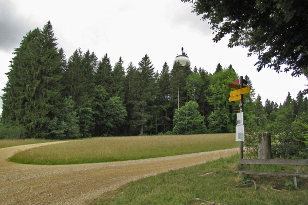 Merishausen - Hagenturm - Merishausen