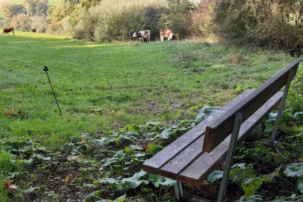 Bänkli-Wanderung von Hohbrugg - Hemmental