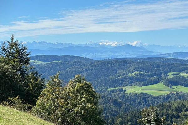 Schauenberg1