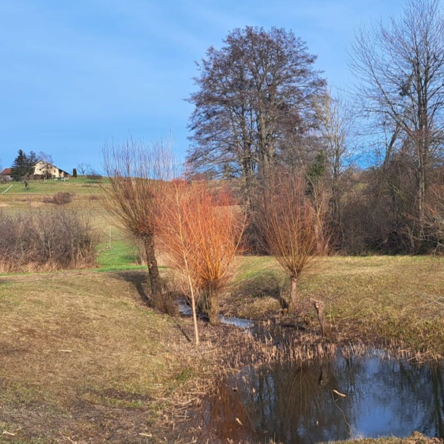 Seuzach1