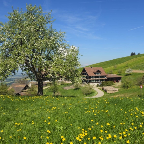 Rotkreuz3
