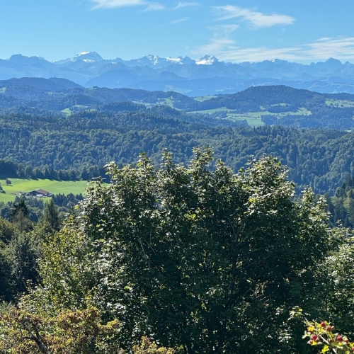 Schauenberg2