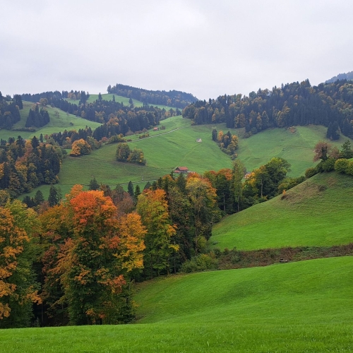 Atzmännig3