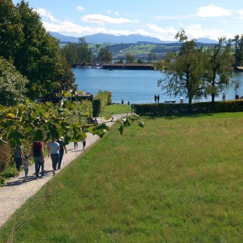 Baldeggersee2
