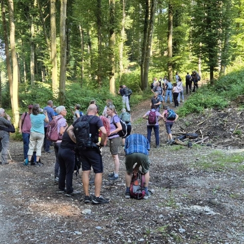 Wandernacht3