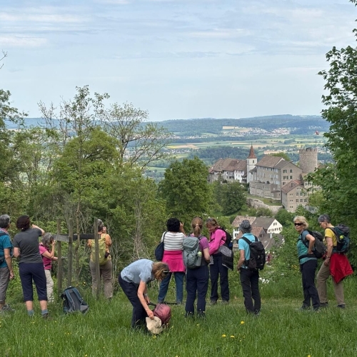 20260503_Lägern_11