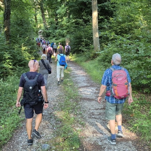 Wandernacht6