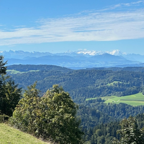 Schauenberg1