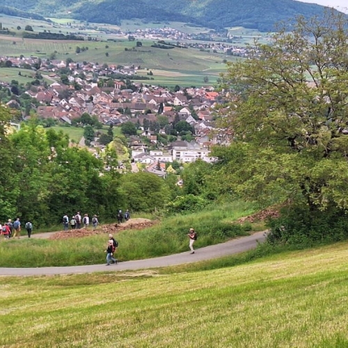 Jubiläumswanderung6