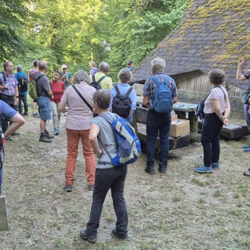 Wandernacht2