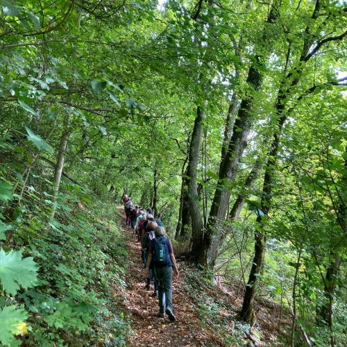 Orserental5