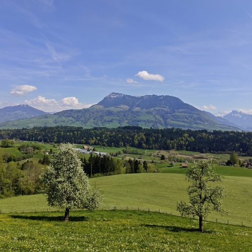 Rotkreuz1