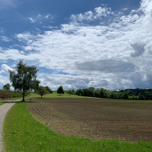 Tobel-4