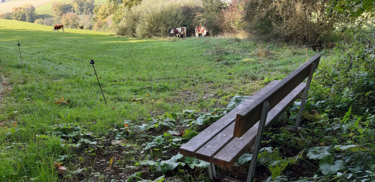 Gächlinger Bänkli